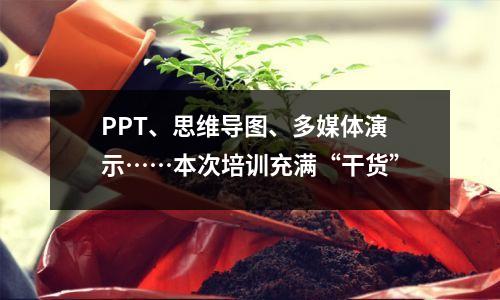 PPT、思维导图、多媒体演示……本次培训充满“干货”