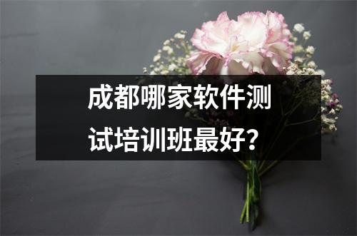 成都哪家软件测试培训班最好?