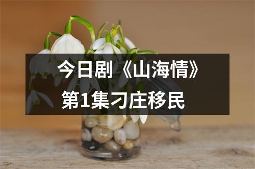 今日剧《山海情》 第1集刁庄移民