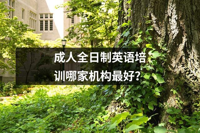 成人全日制英语培训哪家机构最好?