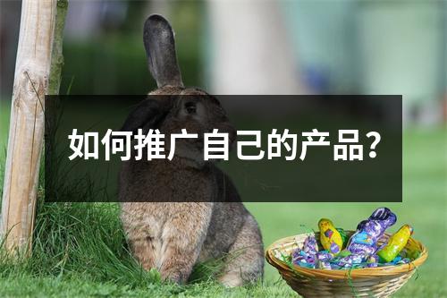 如何推广自己的产品？
