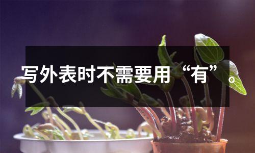 写外表时不需要用“有”。