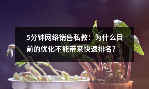 5分钟网络销售私教:为什么目前的优化不能带来快速排名?