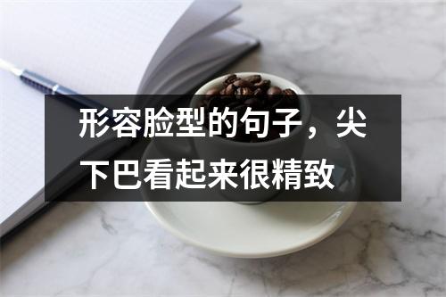 形容脸型的句子,尖下巴看起来很精致