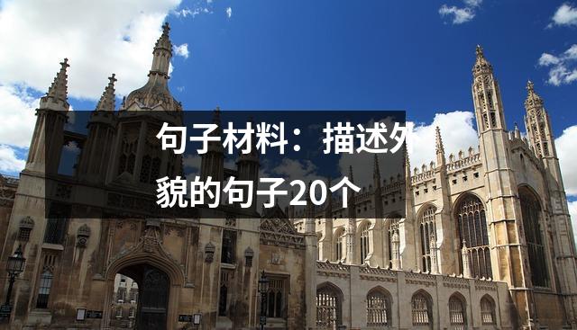 句子材料:描述外貌的句子20个