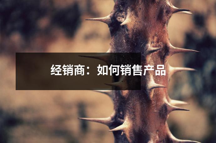 经销商：如何销售产品