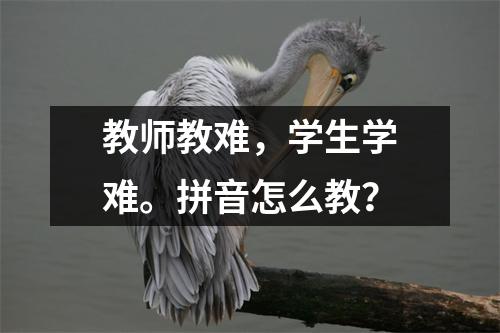 教师教难,学生学难。拼音怎么教?