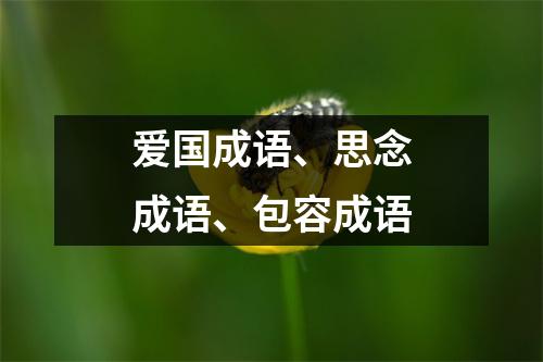 爱国成语、思念成语、包容成语
