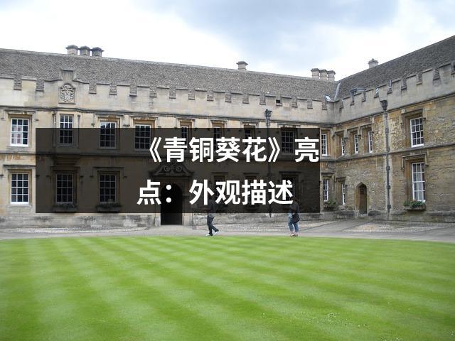 《青铜葵花》亮点:外观描述