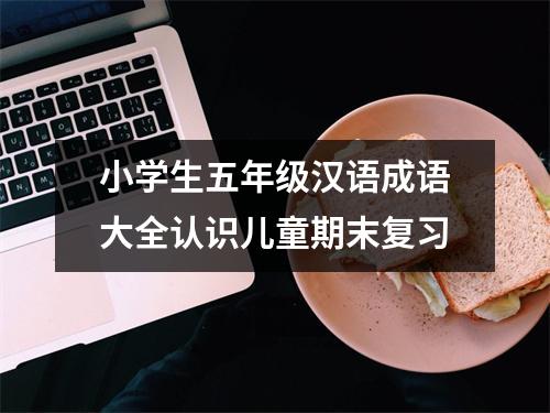 小学生五年级汉语成语大全认识儿童期末复习