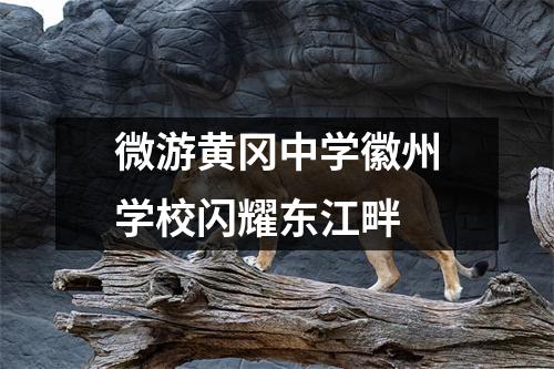 微游黄冈中学徽州学校闪耀东江畔
