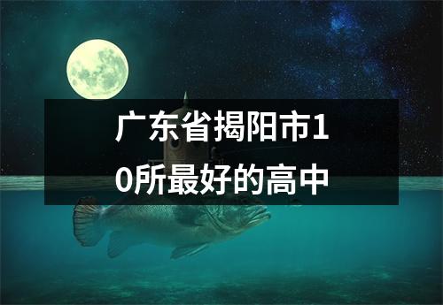 广东省揭阳市10所最好的高中