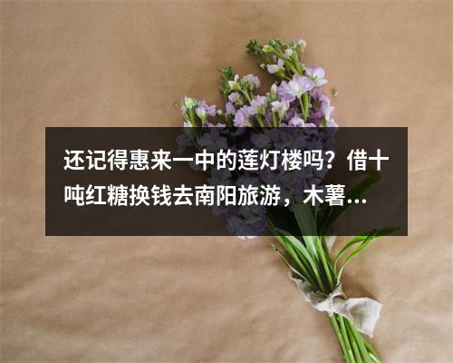 还记得惠来一中的莲灯楼吗?借十吨红糖换钱去南阳旅游,木薯行业的先锋