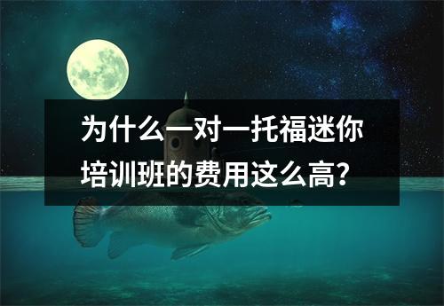 为什么一对一托福迷你培训班的费用这么高?