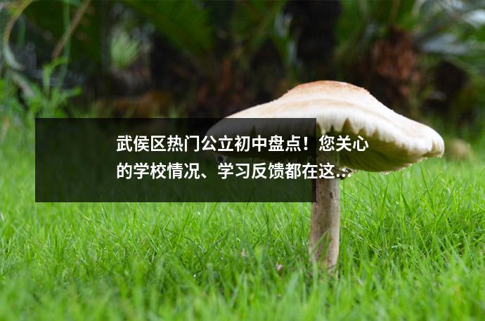 武侯区热门公立初中盘点!您关心的学校情况、学习反馈都在这里