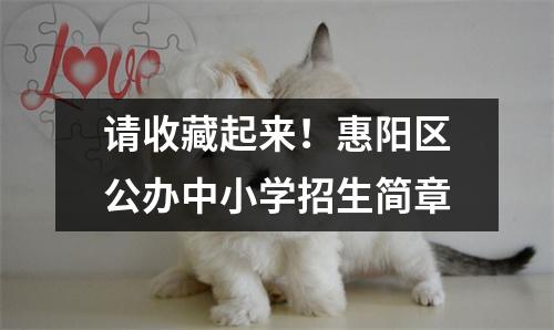 请收藏起来!惠阳区公办中小学招生简章