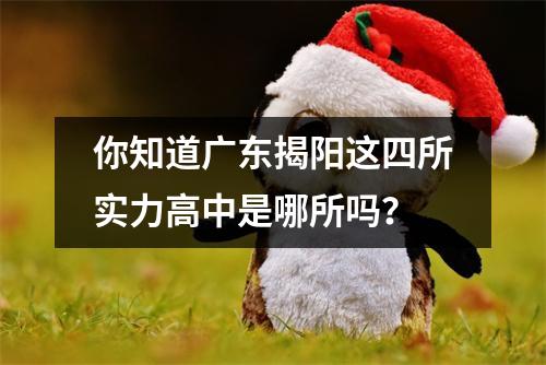你知道广东揭阳这四所实力高中是哪所吗?