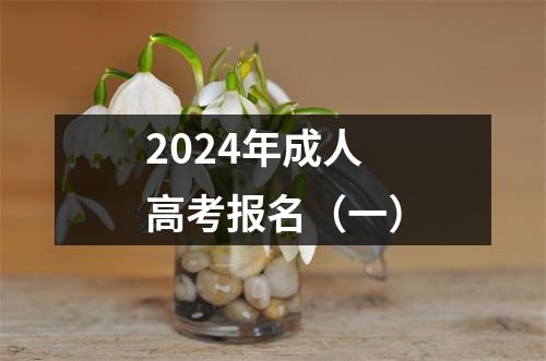 2024年成人高考报名(一)