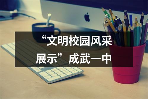 “文明校园风采展示”成武一中