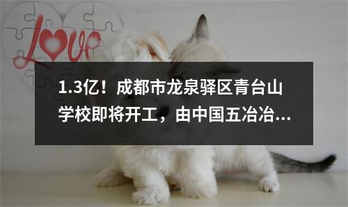1.3亿！成都市龙泉驿区青台山学校即将开工，由中国五冶冶金总公司承建！
