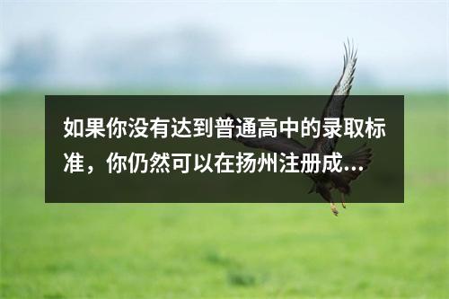 如果你没有达到普通高中的录取标准,你仍然可以在扬州注册成为普通高中学生。你知道这条入学路线吗?