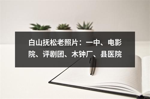 白山抚松老照片:一中、电影院、评剧团、木钟厂、县医院