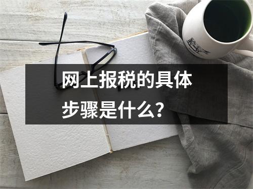 网上报税的具体步骤是什么?