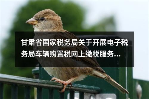 甘肃省国家税务局关于开展电子税务局车辆购置税网上缴税服务的公告