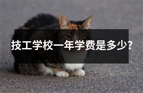 技工学校一年学费是多少？