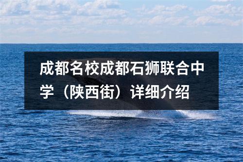 成都名校成都石狮联合中学（陕西街）详细介绍