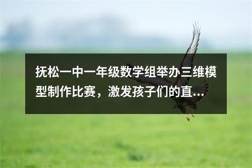 抚松一中一年级数学组举办三维模型制作比赛,激发孩子们的直观想象力。