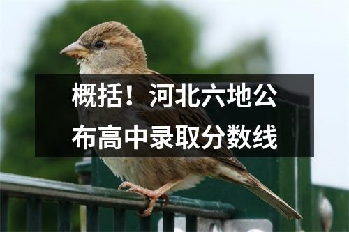 概括!河北六地公布高中录取分数线