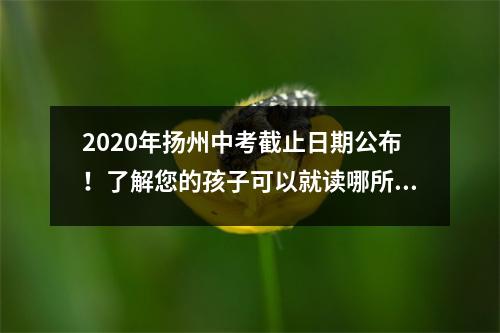 2020年扬州中考截止日期公布！了解您的孩子可以就读哪所高中