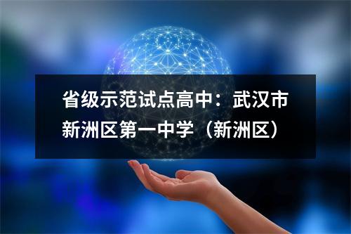 省级示范试点高中：武汉市新洲区第一中学（新洲区）