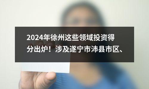 2024年徐州这些领域投资得分出炉！涉及遂宁市沛县市区、