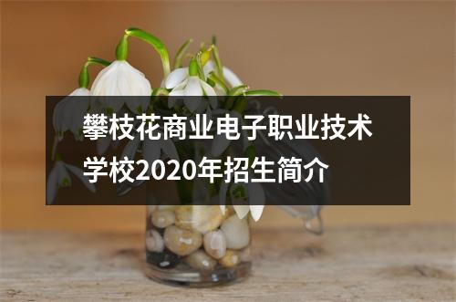 攀枝花商业电子职业技术学校2020年招生简介