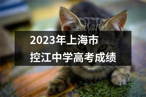 2023年上海市控江中学高考成绩