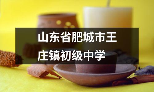 山东省肥城市王庄镇初级中学
