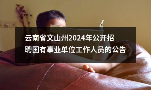 云南省文山州2024年公开招聘国有事业单位工作人员的公告