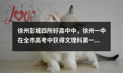 徐州彭城四所好高中中，徐州一中在全市高考中获得文理科第一名。其他三个你认识吗？