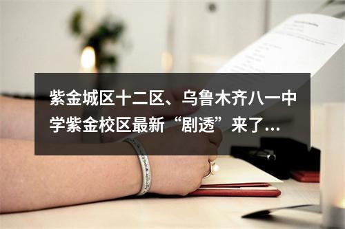 紫金城区十二区、乌鲁木齐八一中学紫金校区最新“剧透”来了！