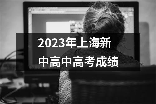 2023年上海新中高中高考成绩