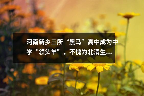 河南新乡三所“黑马”高中成为中学“领头羊”,不愧为北清生源地