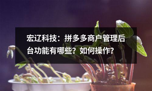 宏辽科技:拼多多商户管理后台功能有哪些?如何操作?