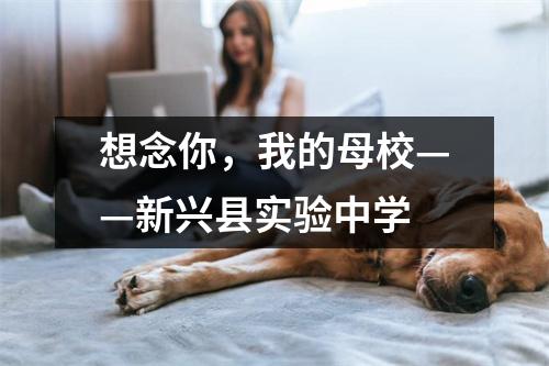 想念你，我的母校——新兴县实验中学