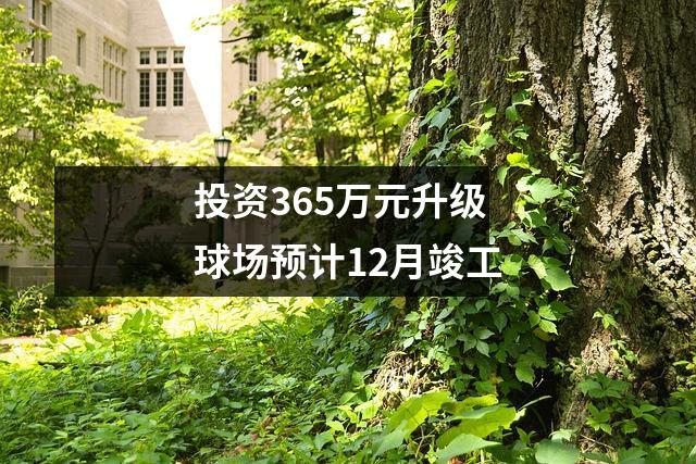 投资365万元升级球场预计12月竣工