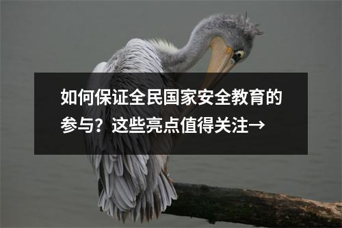 如何保证全民国家安全教育的参与?这些亮点值得关注→