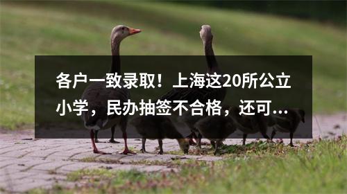 各户一致录取!上海这20所公立小学,民办抽签不合格,还可以回去