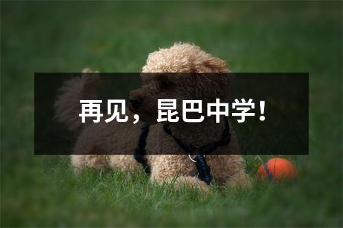 再见,昆巴中学!