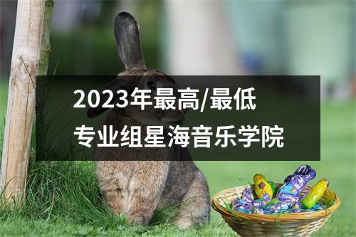 2023年最高/最低专业组星海音乐学院